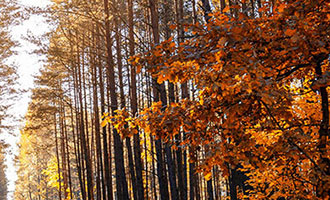 快手点赞价格及提升播放量方法，你想知道吗？