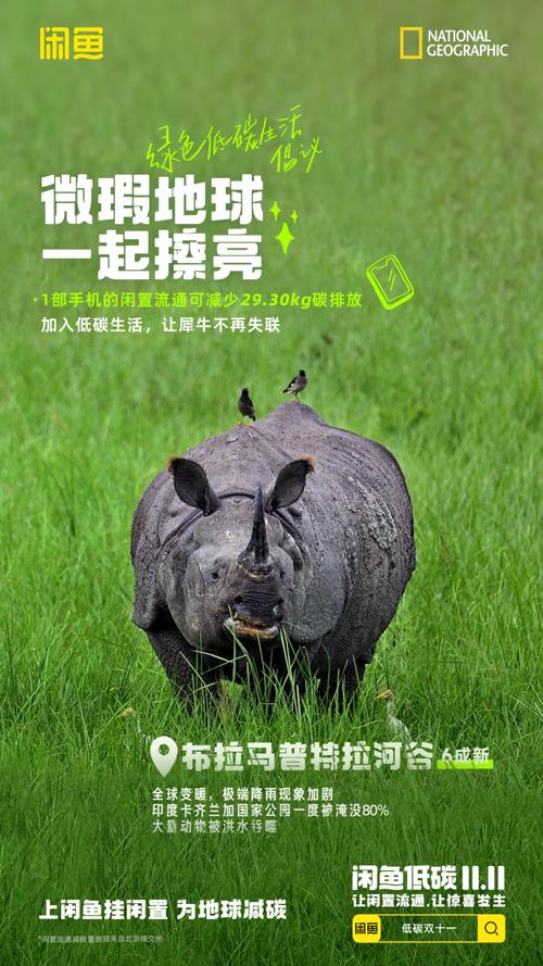 闲鱼绿色消费_闲鱼业务网_闲鱼循环经济