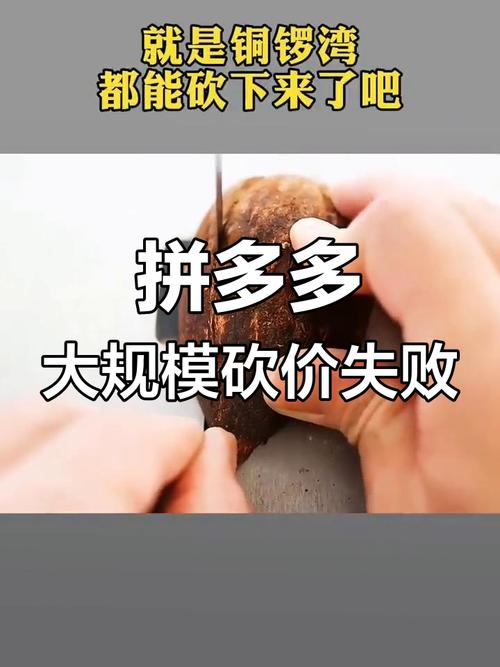 主播砍价失败事件分析_拼多多助力接单平台_拼多多砍价活动规则