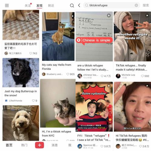 小红书涨粉可以赚钱吗_娱乐圈打工人副业变现_文娱行业从业者小红书运营