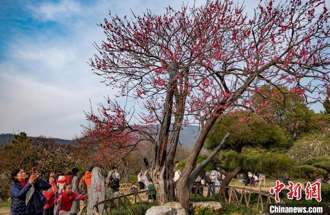 明星破圈达人种草跨界联动_抖音粉下单_抖音生活服务城市奔赴计划春游季