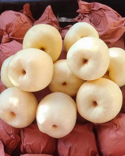 拼多多互助助力_山西平遥酥梨滞销 拼多多暖冬行动助农 爱心助农平台